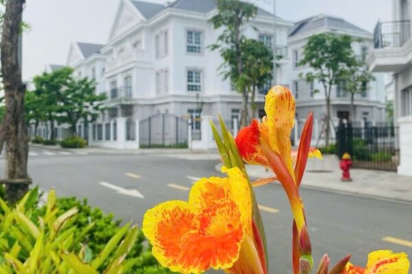 Bán căn BT góc view công viên giá tốt nhất dự án Eurowindow Twin Parks
