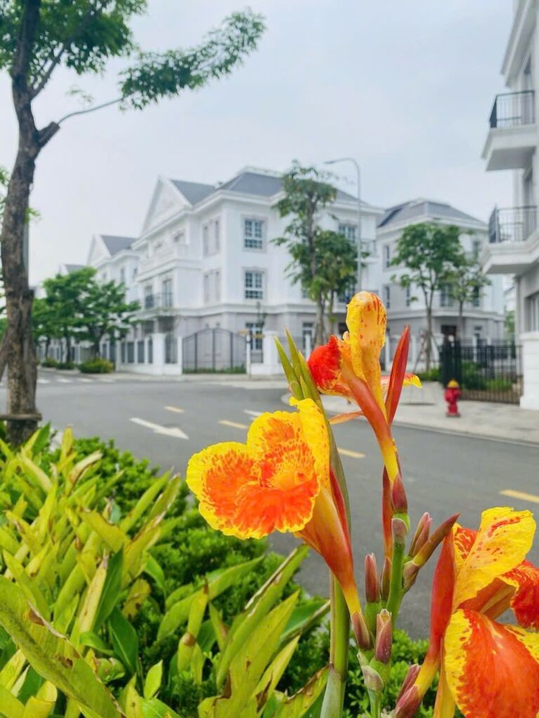 Bán căn BT góc view công viên giá tốt nhất dự án Eurowindow Twin Parks